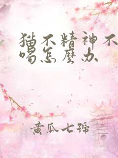 猫不精神不吃不喝怎么办