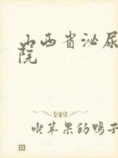 山西省泌尿科医院