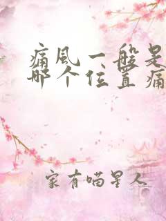 痛风一般是脚的哪个位置痛