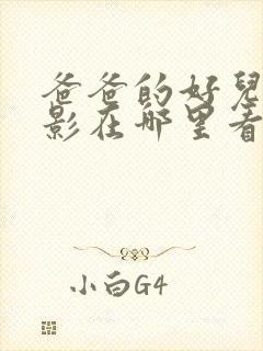 爸爸的好儿子电影在哪里看