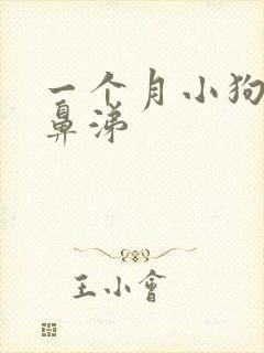 一个月小狗流黄鼻涕