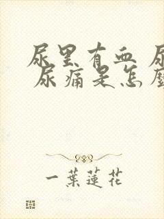 尿里有血 尿频 尿痛是怎么回事