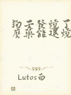 狗子发烧了吃什么药能退烧