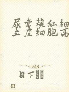 尿常规红细胞和上皮细胞高