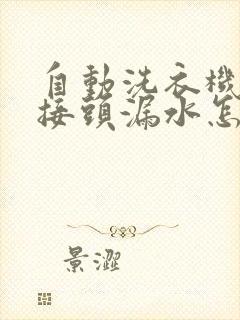 自动洗衣机水管接头漏水怎么办