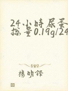 24小时尿蛋白总量0.19g/24小时