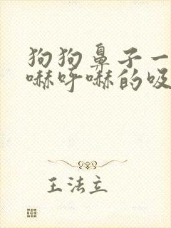 狗狗鼻子一直呼哧呼哧的吸是咋回事