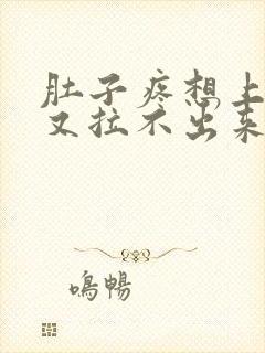 肚子疼想上厕所又拉不出来是怎么办