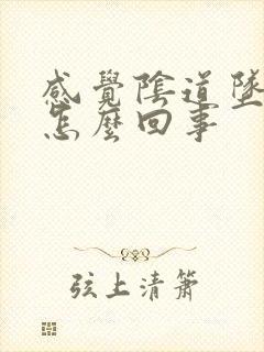 感觉阴道坠疼是怎么回事