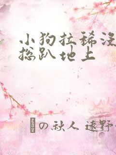 小狗拉稀没精神总趴地上