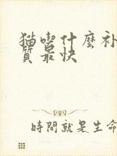 猫吃什么补蛋白质最快