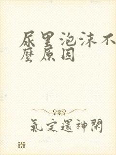 尿里泡沫不消什么原因