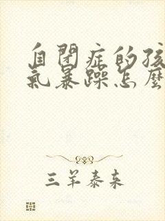 自闭症的孩子脾气暴躁怎么办