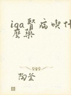 iga肾病吃什么药