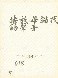 播放母猫找小猫的声音