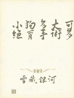 小狗多大可以做绝育手术多少钱