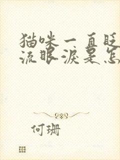 猫咪一直眨眼睛流眼泪是怎么回事