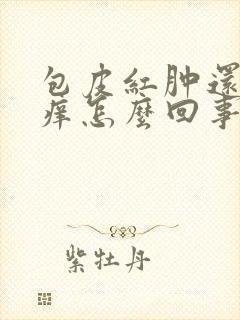 包皮红肿还有点痒怎么回事