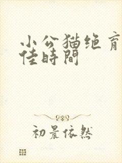 小公猫绝育的最佳时间