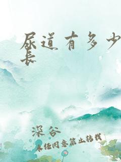 尿道有多少厘米长