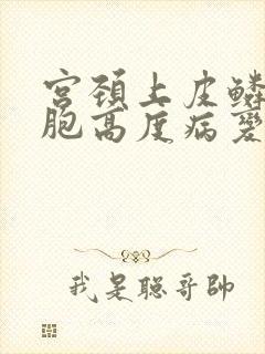 宫颈上皮鳞状细胞高度病变