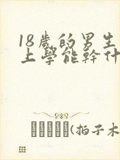 18岁的男生不上学能干什么