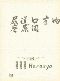 尿道口有肉芽什么原因