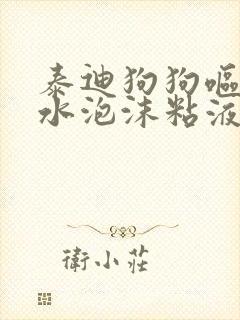 泰迪狗狗呕吐黄水泡沫粘液原因