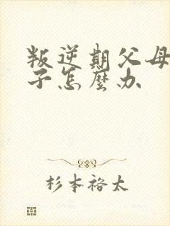 叛逆期父母骂孩子怎么办