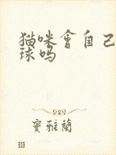 猫咪会自己吐毛球吗