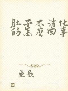 肚子不消化胀胀的怎么回事