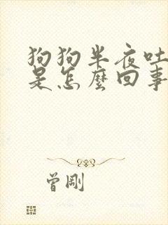 狗狗半夜吐黄水是怎么回事