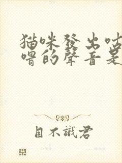 猫咪发出咕噜咕噜的声音是什么意思?