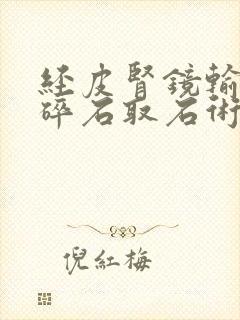 经皮肾镜输尿管碎石取石术