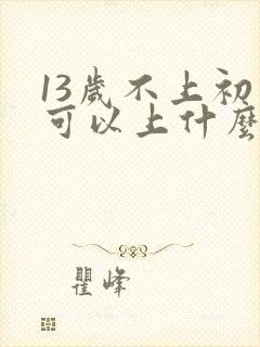 13岁不上初中可以上什么学校