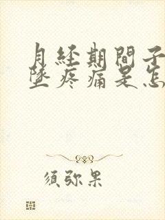 月经期间子宫下坠疼痛是怎么回事