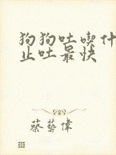 狗狗吐吃什么药止吐最快