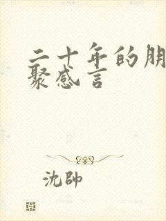 二十年的朋友相聚感言