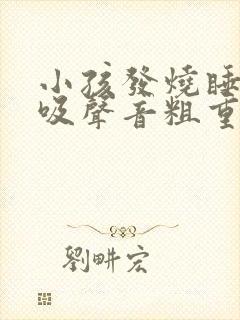 小孩发烧睡觉呼吸声音粗重呼哧呼哧的