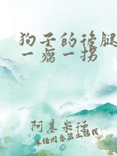 狗子的后腿突然一瘸一拐