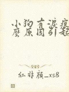 小狗有泪痕是什么原因引起的