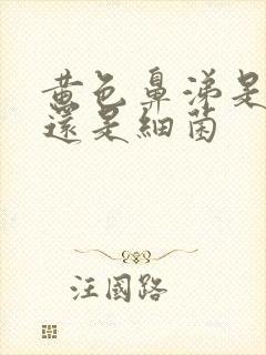 黄色鼻涕是病毒还是细菌