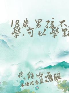 18岁男孩不上学,可以学点什么东西