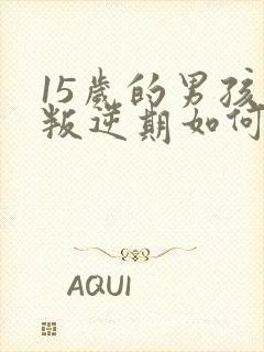 15岁的男孩子叛逆期如何去管教