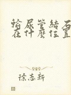 输尿管结石下段在什么位置