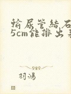 输尿管结石0.5cm能排出来吗