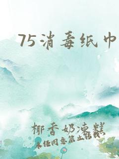 75消毒纸巾