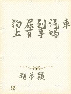 狗尿到汽车轮胎上有事吗