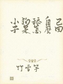 小狗舔自己的爪子是怎么回事