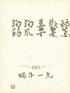 狗狗喜欢舔自己的爪子是怎么回事